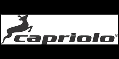 CAPRIOLO